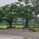 원삼SK공인중개사사무소 네이버블로그