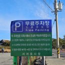 제주 서귀포 쇠소깍 | 제주 서귀포 강추) 동남아 같은 맑은 물 쇠소깍 테우 후기