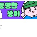 뚱자PC Daum카페