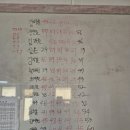 파워점핑 줄넘기 목감점 | “30초를 위해 한 달을 준비했습니다” 경희대 라이온스컵 줄넘기 대회 이야기🔥🫀