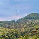 리얼스틸펜션1 이미지