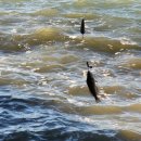 벌천포 선착장 이미지