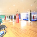 성남권투 이미지