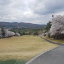 신라한의원 이미지