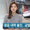 급발진 사고로 추정되는 K5 이미지