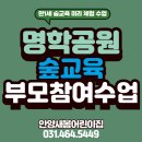 하늘숲어린이집 | 안양 만안구 새봄어린이집 | 명학공원 숲교육 미리체험 (1세 부모참여수업 후기)