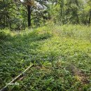 왕산2리 이미지