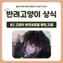 달봉이네 대연점 이미지