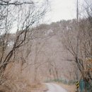 용소골하우스