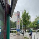 분당-113 이미지