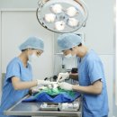 광교호수 동물병원 이미지