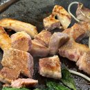 새재리아 이미지