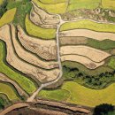 사포마을 이미지