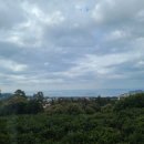 제담민박 이미지