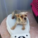 동명동 주민센터 이미지