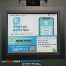 인천광역시 월미공원사업소 월미구장 | [인천] 월미도 여행 가볼만한곳, 놀거리 / 산책하기 좋은 '월미도' 벚꽃 현황 (2)