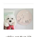 자개열쇠고리 | [내돈내산]국립중앙박물관 굿즈 나전칠기 벽시계, 열쇠고리 추천 한국감성인테리어 사용후기 ⏰️