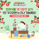 동백가구 - 서구 천변좌로 243 | 동백가구