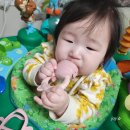 베어팜(주) 이미지