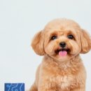 우리메디 이미지