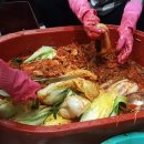 배추당구장 이미지