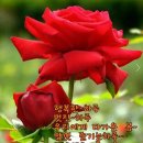 행복한하루 이미지