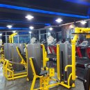 욜로스포츠 이미지