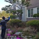 성산면사무소 이미지