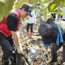 (주)경북정비 이미지