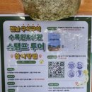 꿈꾸는숲선유원