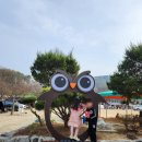 솔부엉이캠핑장 이미지