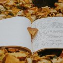 OK타이어 이미지