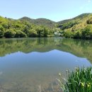 청도농장 이미지