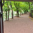 장유사 공중화장실 이미지