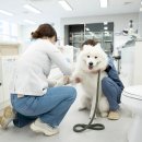 아임 메디칼 이미지