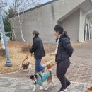 산책 이미지