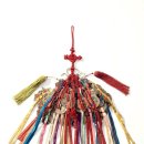 까치열쇠 이미지