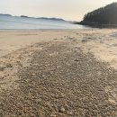 사창해수욕장 이미지