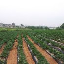 경이농장 이미지