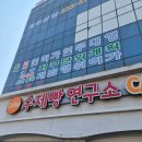 아산 베이커리카페 수제빵연구소 아산시청 앞 가성비 수제빵 맛집 단체주문 가능