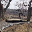 덕천3리경로당 Daum카페