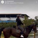 이콰인코리아 이미지