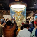 황금박쥐생태관 옆 이미지