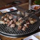 불타는돼지 이미지