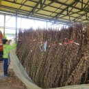 알맹이민박 이미지