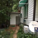 안나하우스벨리 이미지