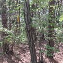 즘골마을 이미지