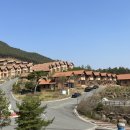 강빛사랑 이미지