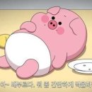 Wellness Gym 이미지