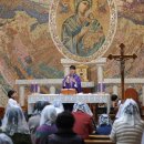 안법고등학교 이미지